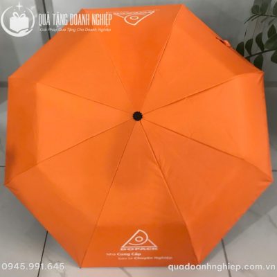 Tán ô màu cam rực rỡ với cấu trúc 8 múi cân đối khi nhìn từ trên xuống