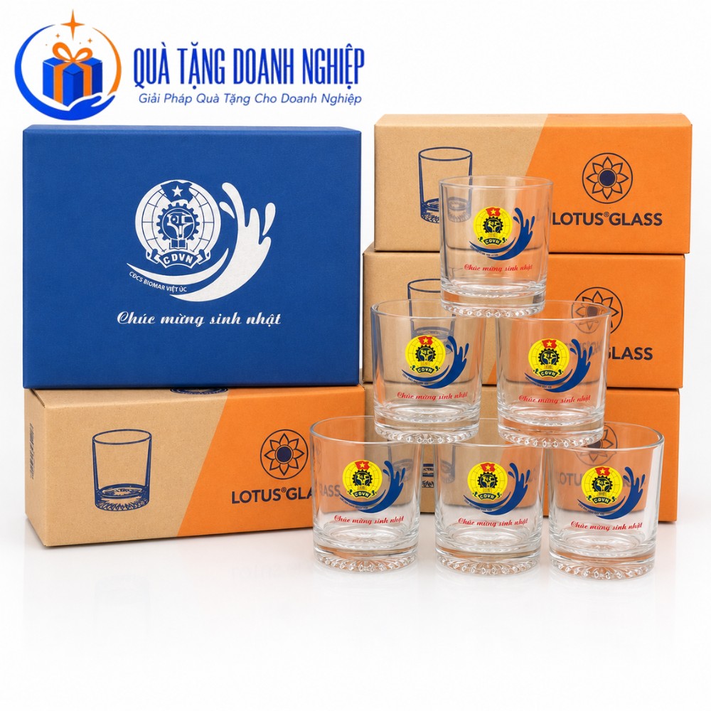 Bộ ly thủy tinh Việt Tiệp