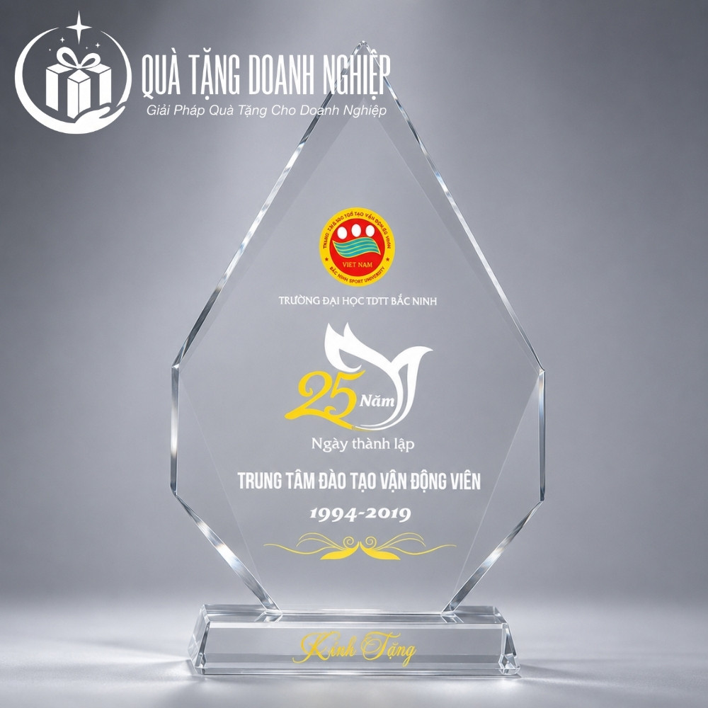 Kỷ niệm chương quà tặng