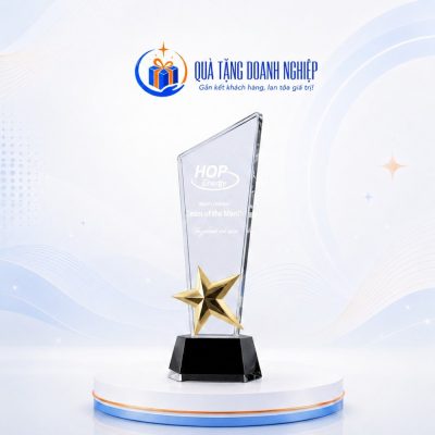 Kỷ niệm chương pha lê dáng cúp ngôi sao vàng in logo quà tặng KNC-02 - Ảnh đại diện